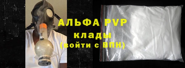 амф Коряжма