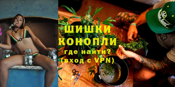 амф Коряжма