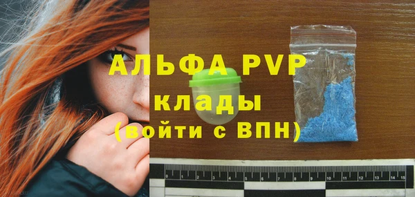 амф Коряжма