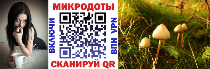 где купить   OMG зеркало  Галлюциногенные грибы Psilocybine cubensis  Шилка 