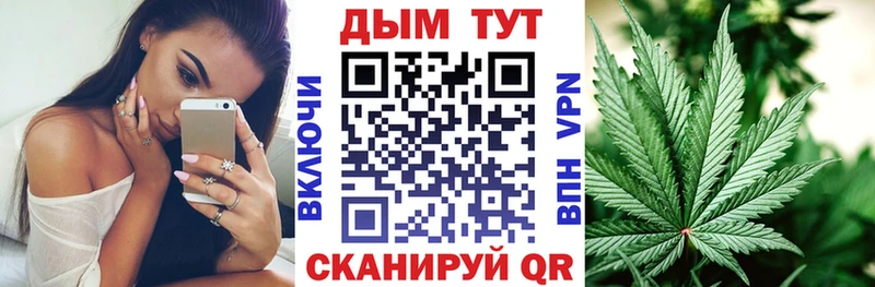 закладка  MEGA маркетплейс  МАРИХУАНА Ganja  Шилка 